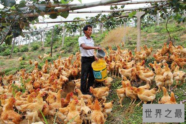 最不起眼的十大冷门行业