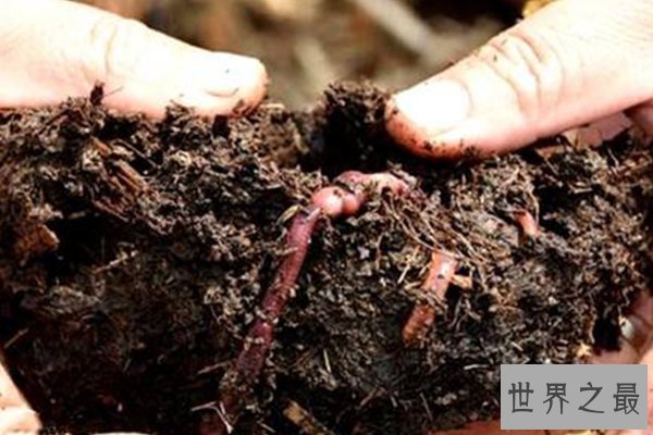 最不起眼的十大冷门行业