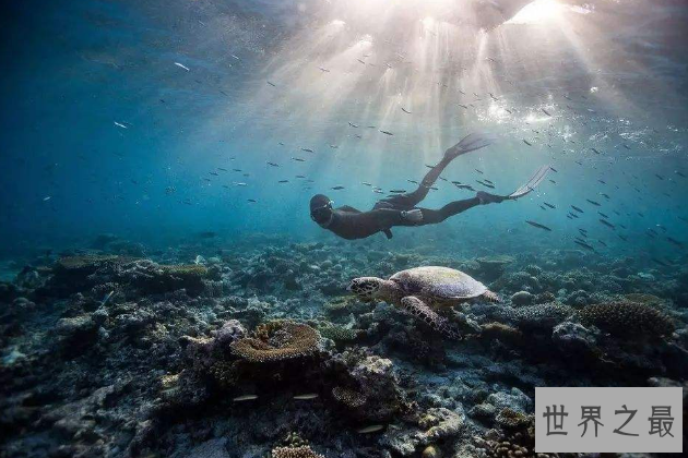 十大最危险极限运动死亡率排名 第二名死亡率高达3成