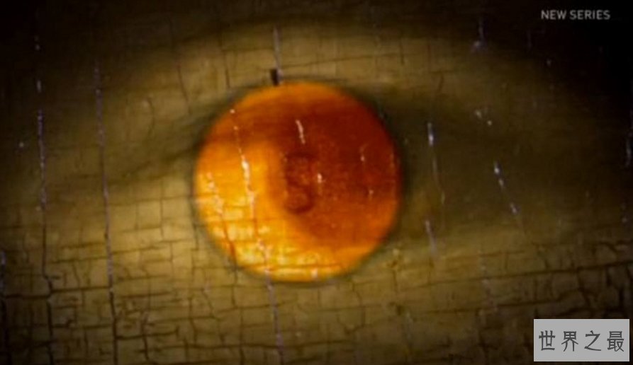 蒙娜丽莎的24个秘密:蒙娜丽莎是妓女还可能雌雄同体