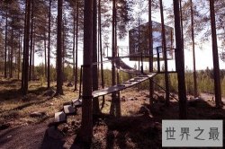 世界十大最奇怪酒店，第一建在树上绳索进入