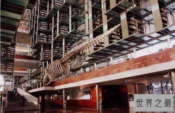 世界十大最美图书馆 仿佛置身天堂升华灵魂