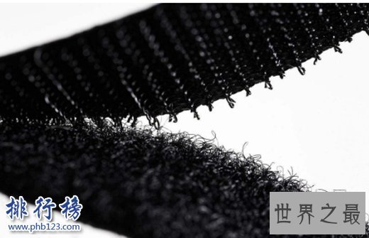 科学史上10大最意外发明，第九个因为一条狗