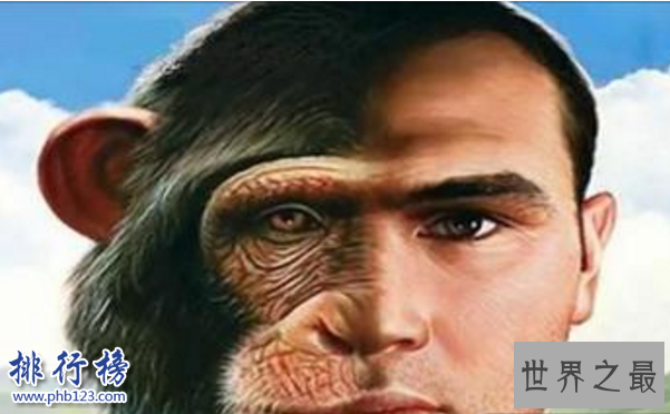 世界十大毛骨悚然的实验:第二个活体解剖大脑人神共愤