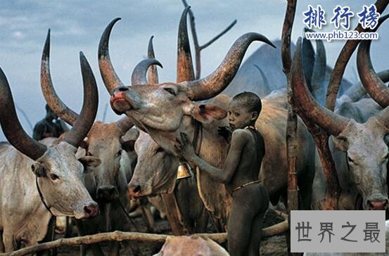 世界上最黑的男人:丁卡人,黑到看不见眼睛