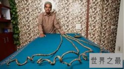 世界上最长的指甲,指甲全长9.1米（64年从未剪过）