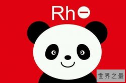 世界上最稀有的血型排名，稀有血型有哪些？