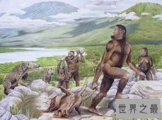 世界上最早的人类，南方古猿（最早发现于1924年）