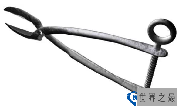 欧洲史上最残忍的酷刑排行榜