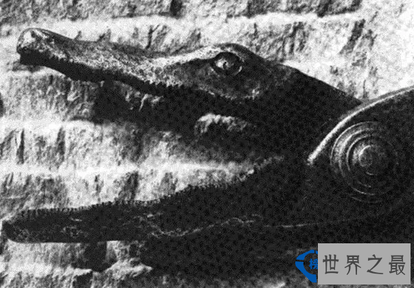 欧洲史上最残忍的酷刑排行榜