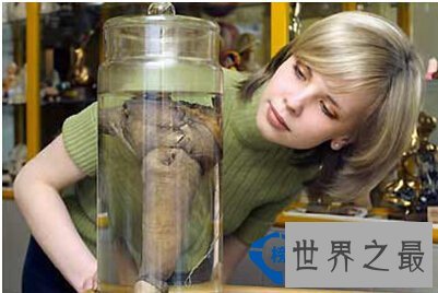 盘点世界上各个角落的人体“之最”