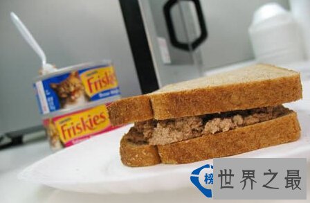 世界上最烂的工作