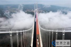 【图】世界上最高的桥梁：杭瑞高速北盘江大桥 高565米