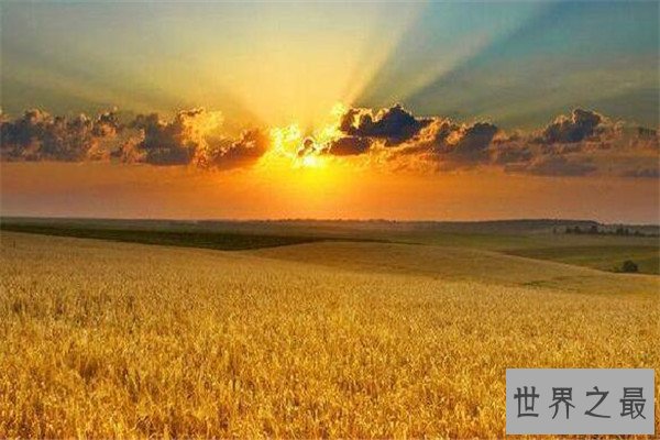 世界十大平原排名 我国两个上榜，第一面积560万平方公里