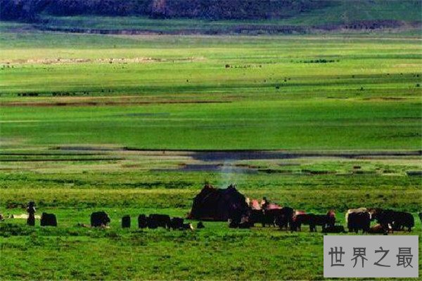 世界十大平原排名 我国两个上榜，第一面积560万平方公里