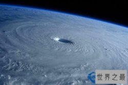 世界史上最强台风排名,台风维拉排第五(5千人死亡/4万人受伤)