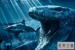 十大已灭绝的海洋动物，巨齿鲨上榜，第二是鲸鱼近亲