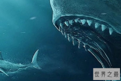 十大海洋霸主史前排名，巨齿鲨最为强悍，邓氏鱼仅排第三