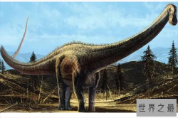 十大著名恐龙，第二最凶猛，第三最聪明