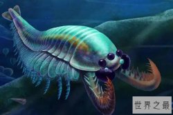 远古十大生物排行榜，旋齿鲨排第二，第四是袋鼠里的牛头犬