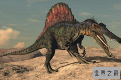 史前统治地球的十大动物 棘龙上榜，第六是唯一素食者