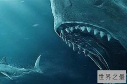 史前十大咬合力最强生物，多种恐龙上榜，第二最重(梅尔维尔鲸)