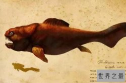 史前十大海洋巨兽排行榜 巨齿鲨上榜,第一生存在3.6亿年前