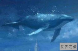 神话中十大神鱼 赢鱼上榜，第二是鱼和龙的结合体