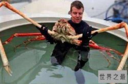 世界上最大的螃蟹十大排名，榜首吃鲨鱼，蟹中之王排第三(帝王蟹)