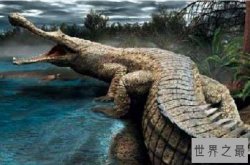 地球远古十大灭绝动物排行榜 剪齿鲨上榜，第三可能是世界上最大的猿