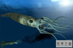 海里最可怕的动物排行榜 虎鲸上榜牛鲨相当恐怖