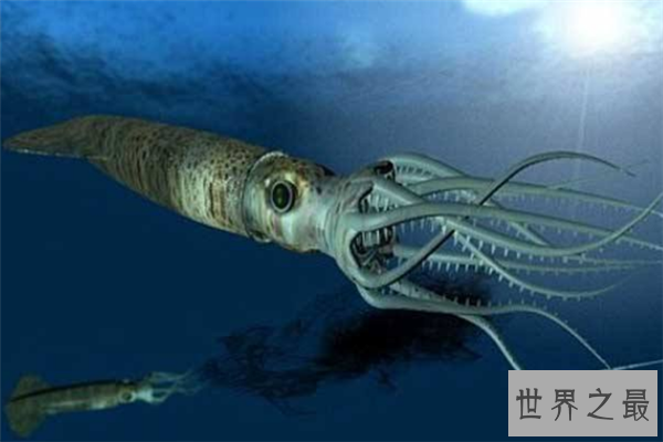 海里最可怕的动物排行榜