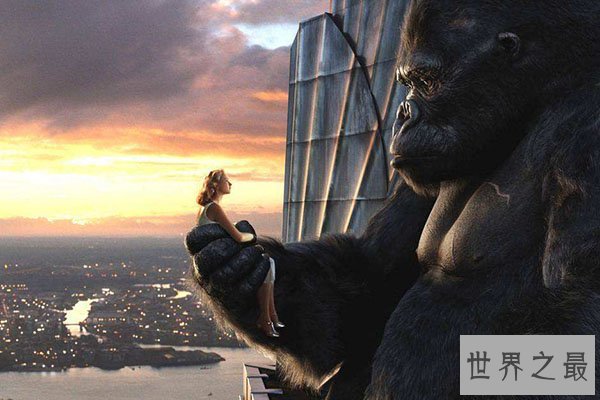 全球十大体型最高的动物排行榜