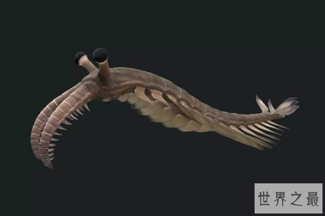 世界十大凶猛古生物 这些史前猛兽，你认识哪些