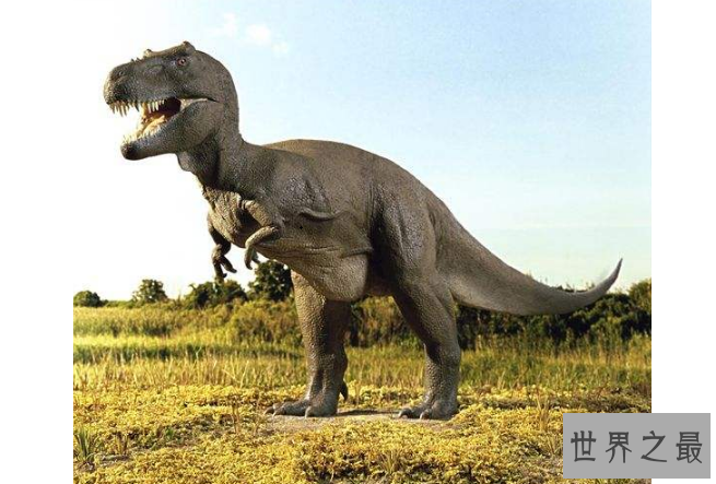 世界十大凶猛古生物 这些史前猛兽，你认识哪些