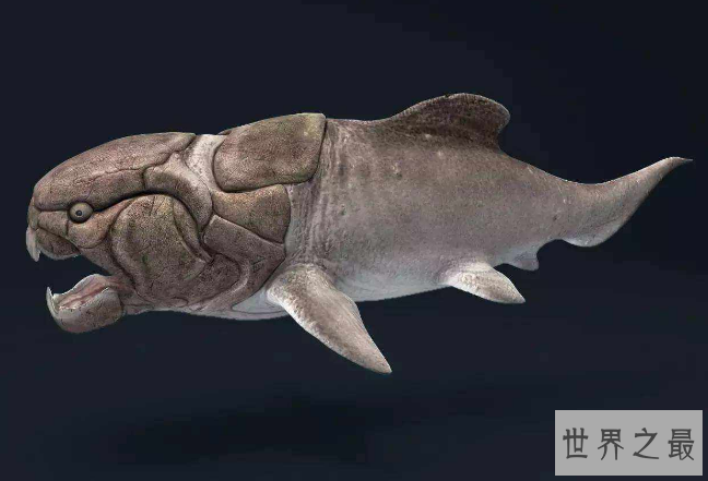 世界十大凶猛古生物 这些史前猛兽，你认识哪些