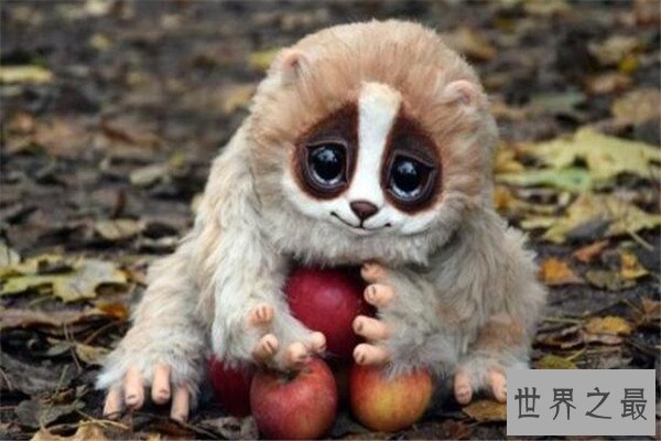 十大恐怖动物杀手 蓝环章鱼上榜，懒猴长相是又萌又可爱