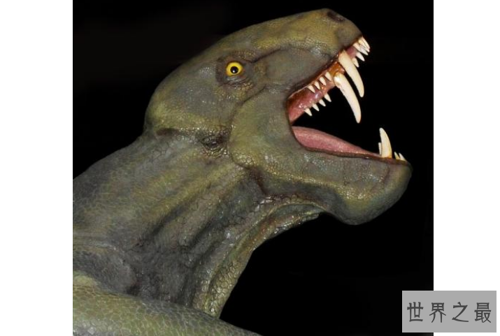世界十大洪荒巨兽 都是真实存在的，你认识吗