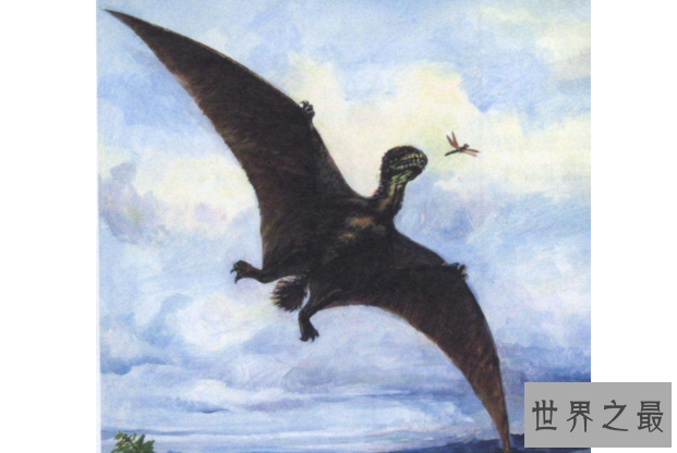 世界十大洪荒巨兽 都是真实存在的，你认识吗