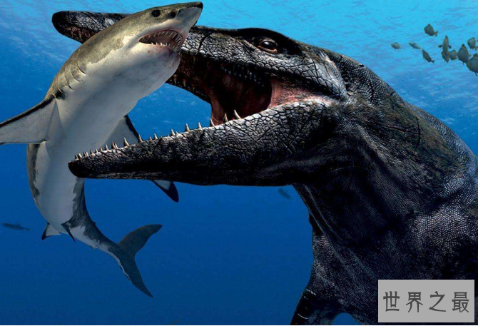世界十大洪荒巨兽 都是真实存在的，你认识吗