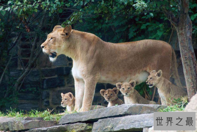 世界十大神奇的动物园 北京动物园上榜，柏林动物园排第一