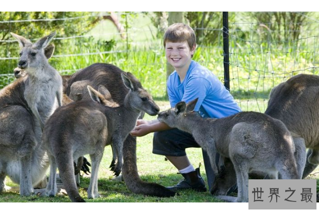 世界十大神奇的动物园 北京动物园上榜，柏林动物园排第一