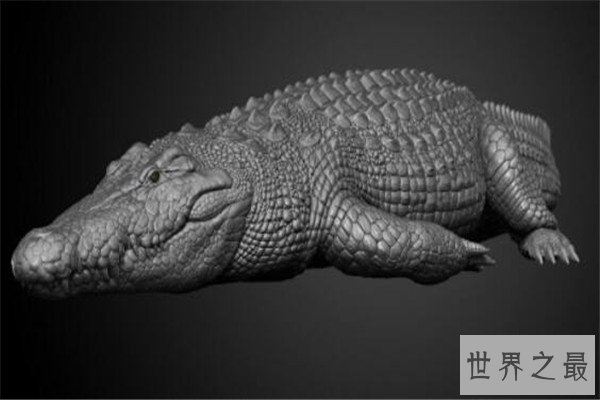 世界十大鳄鱼 恒河鳄喜欢攻击人类，你认识哪几个