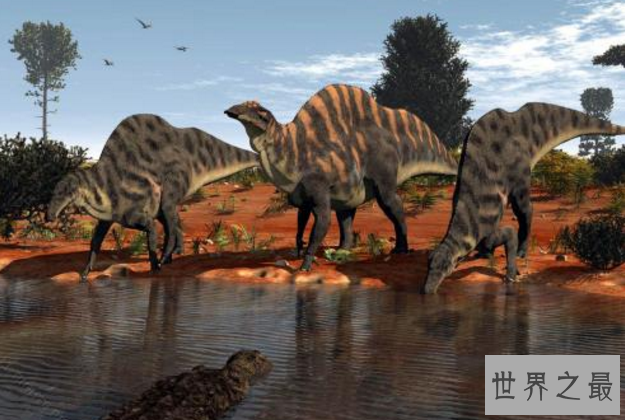世界最大的十大恐龙 阿根廷龙位列榜首，高度达35米