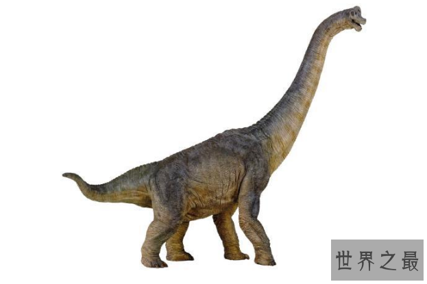 世界最大的十大恐龙 阿根廷龙位列榜首，高度达35米