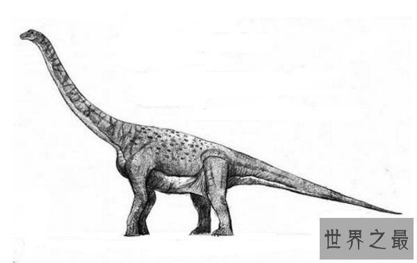 世界最大的十大恐龙 阿根廷龙位列榜首，高度达35米