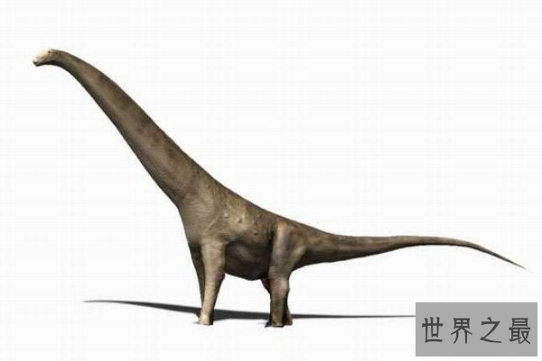 世界最大的十大恐龙 阿根廷龙位列榜首，高度达35米