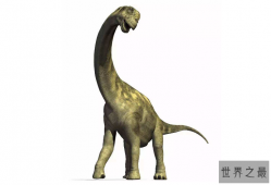 世界最大的十大恐龙 阿根廷龙位列榜首，高度达35米