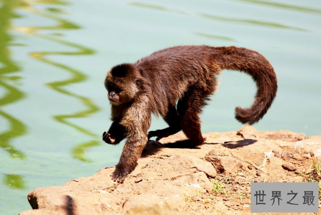 世界最著名十大动物园 赫尔辛基位列第一，中国无一上榜