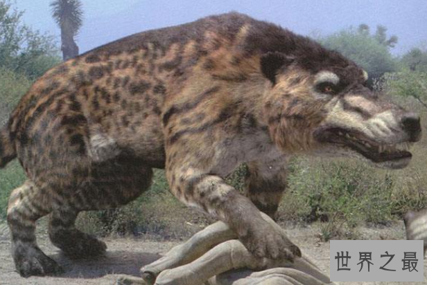 世界十大灭绝生物 史前生物霸王龙上榜，你认识几个